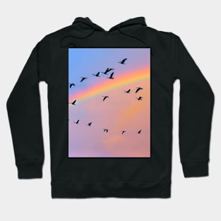 Birds Fly Over The Rainbow Hoodie